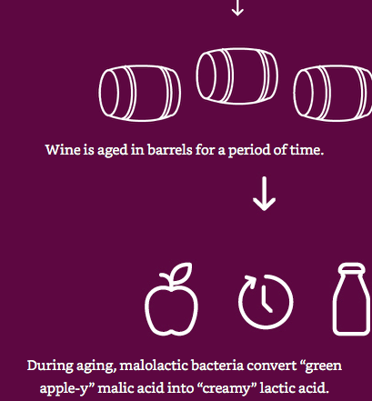 Rượu được ủ trong thùng gỗ sồi trong 1 chu kỳ thời gian 