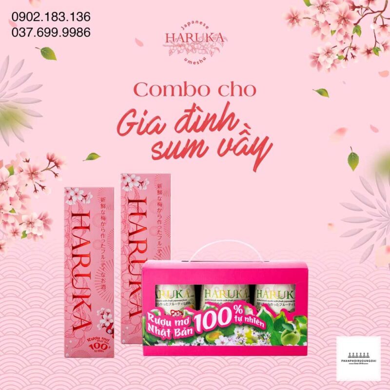 Combo gia đình xum vầy với rượu mơ Haruka hộp quà tết 2021  Combo gia đình xum vầy với rượu mơ Haruka hộp quà tết 2021