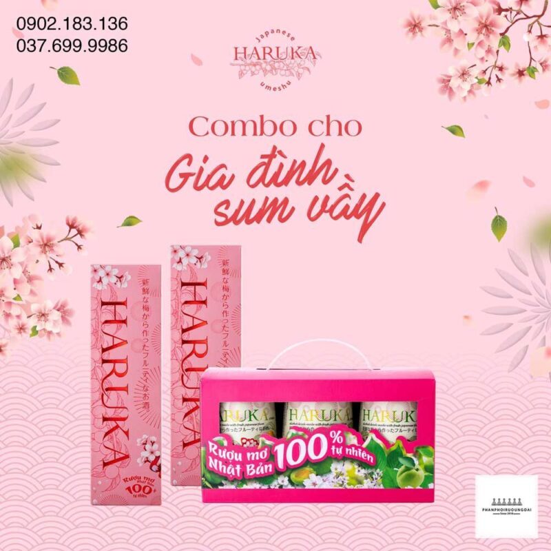 Combo gia đình xum vầy với rượu mơ Haruka hộp quà tết 2021  Combo gia đình xum vầy với rượu mơ Haruka hộp quà tết 2021