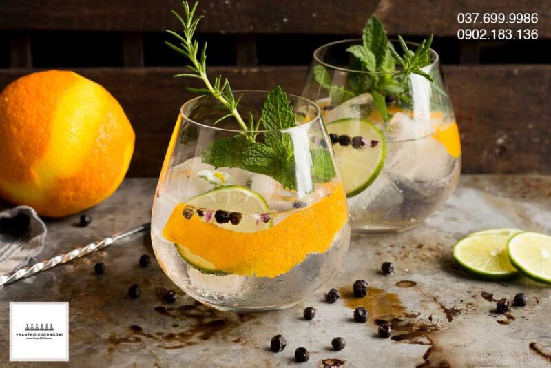 Những ly rượu Gin and Tonic tuyệt vời cùng Gordon's Gin