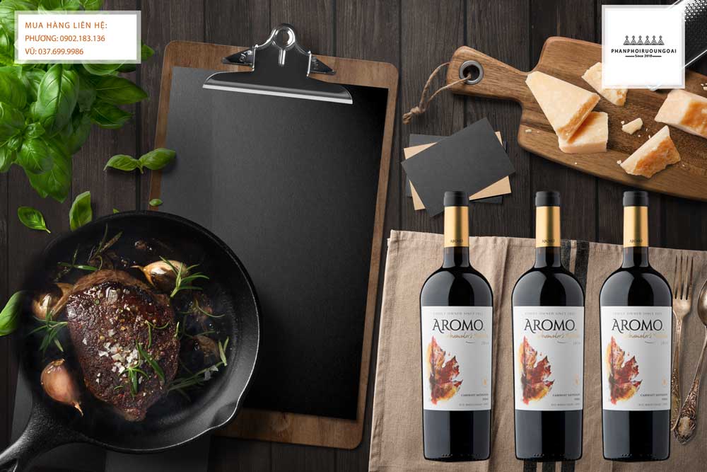 Rượu vang Chile Vina Aromo Winemaker's Selection Cabernet Sauvignon Syrah Thưởng thức rượu vang Chile Vina Aromo Winemaker's Selection Cabernet Sauvignon Syrah