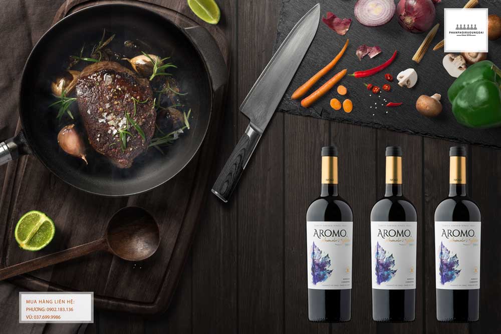 Vang Chile Vina Aromo Winemaker's Selection Marselan Carmenere Thưởng thức rượu vang Chile Vina Aromo Winemaker's Selection Marselan Carmenere