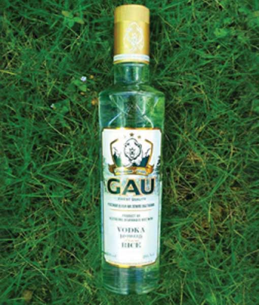 Rượu Vodka Gấu Chai Thuỷ Tinh