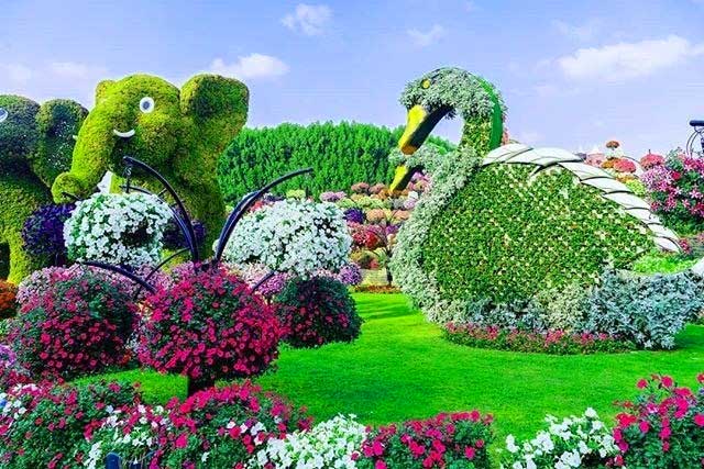 Nhiều loại hoa mới và đẹp trong Festival hoa đà lạt 2022