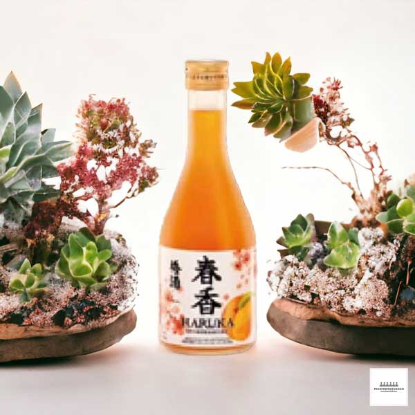 Rượu mơ nhật Haruka vàng 300 ml 