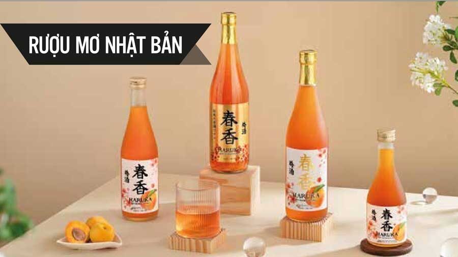 Rượu Mơ Nhật Bản Haruka vàng cho mùa tết nguyên đán 2024
