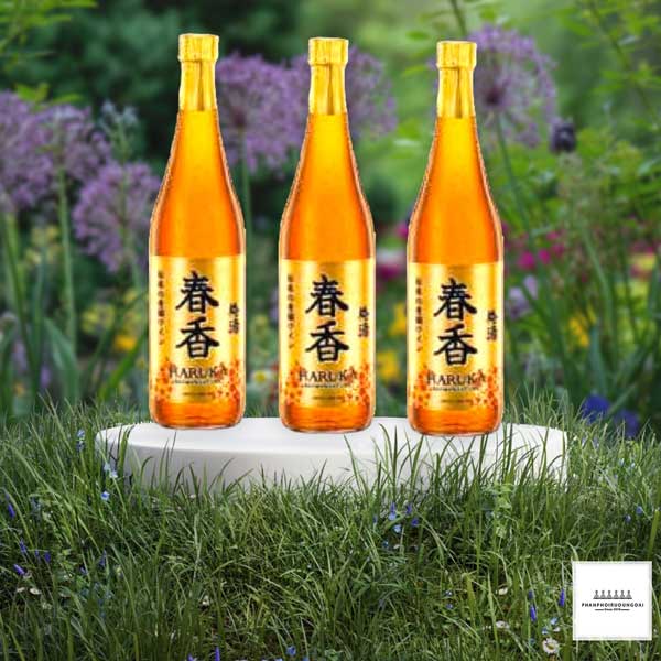 Trưng bày rượu mơ Nhật Haruka vảy vàng