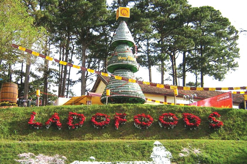 Hoa đà lạt và rượu vang ngon Hoa đà lạt và rượu vang
