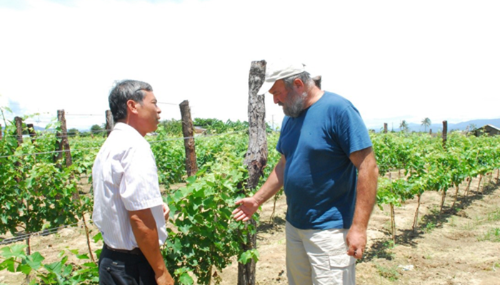 Rượu vang đà lạt mở rộng vùng nguyên liệu