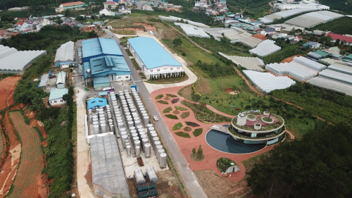 Toàn cảnh hầm vang nhìn từ trên cao